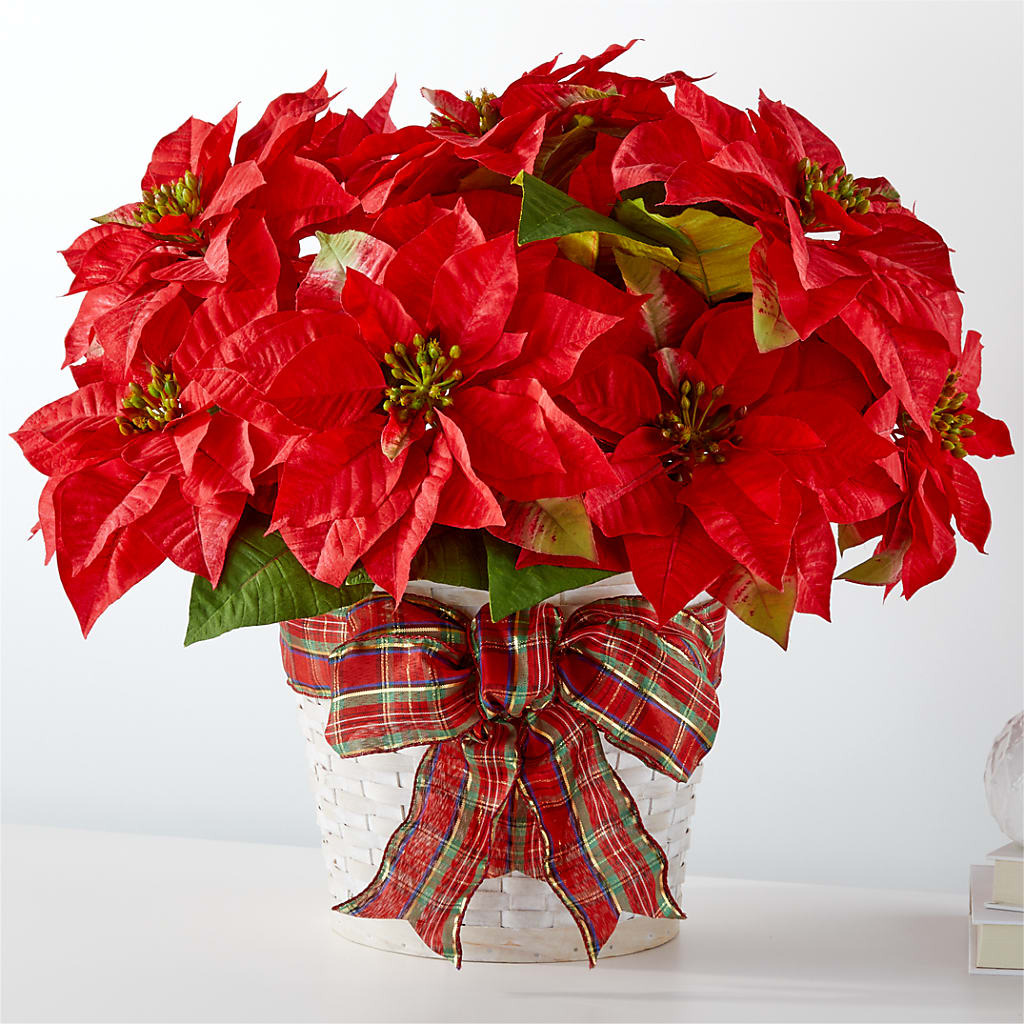Happiest Holidays Poinsettia – Flowersdirect.net, Tontitown AR