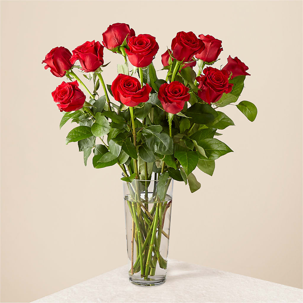 Long Stem Red Rose Bouquet – Flowersdirect.net, Tontitown AR
