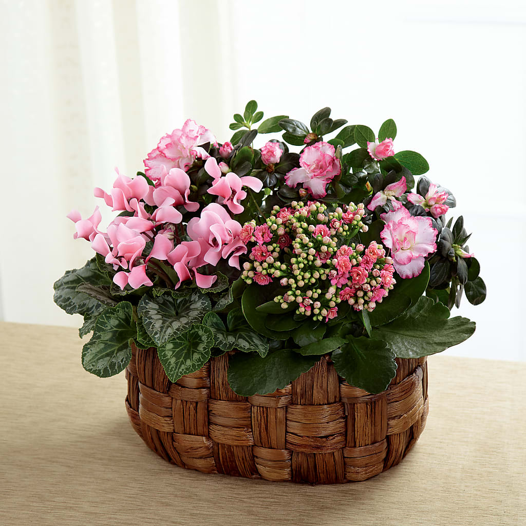 Pink Assortment – Flowersdirect.net, Tontitown AR