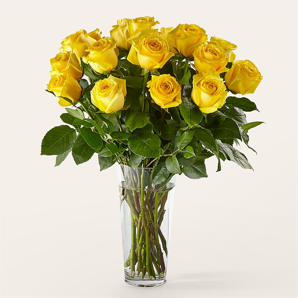 Long Stem Yellow Rose Bouquet – Flowersdirect.net, Tontitown AR