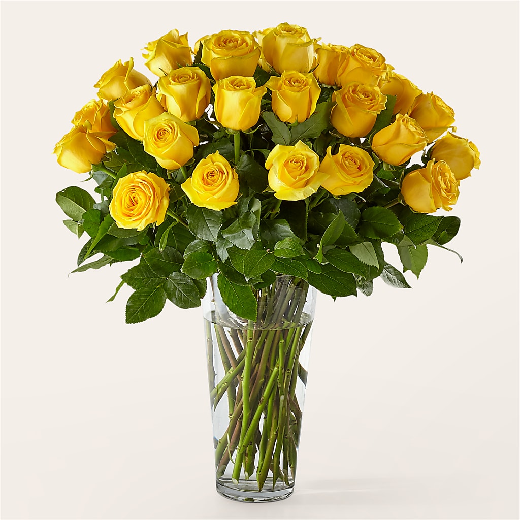 Long Stem Yellow Rose Bouquet – Flowersdirect.net, Tontitown AR