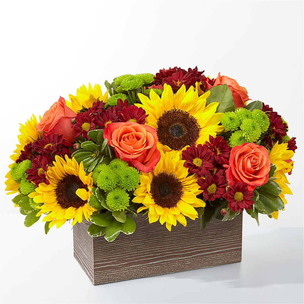 Happy Harvest Garden – Flowersdirect.net, Tontitown AR