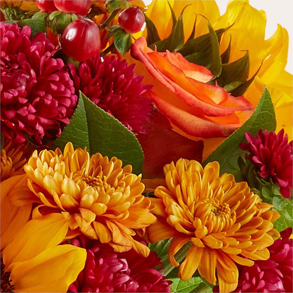 Sweater Season - A Florist Original – Flowersdirect.net, Tontitown AR