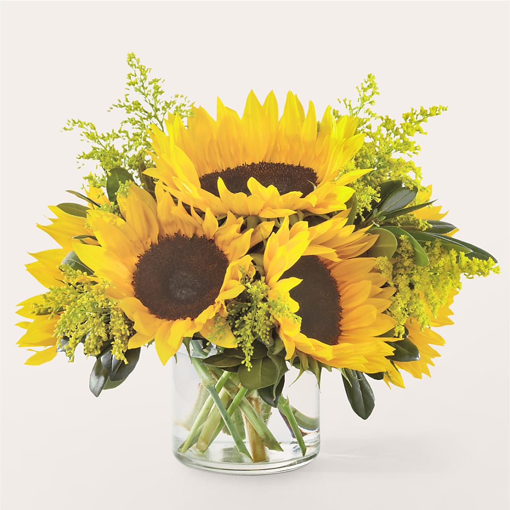 Beaming Sunflower Bouquet – Flowersdirect.net, Tontitown AR