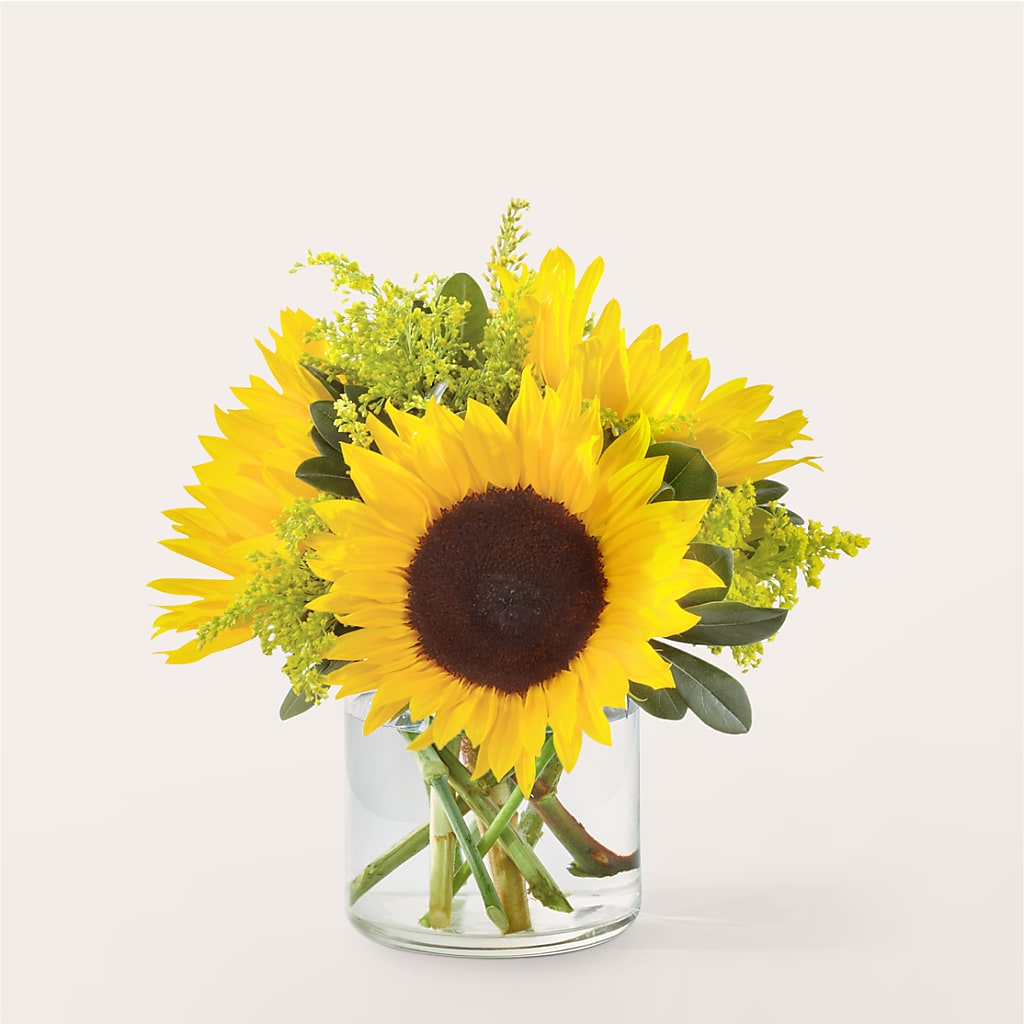 Beaming Sunflower Bouquet – Flowersdirect.net, Tontitown AR