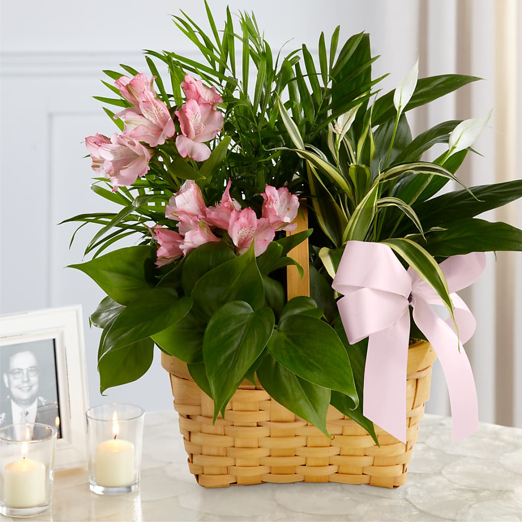 Living Spirit Dishgarden – Flowersdirect.net, Tontitown AR
