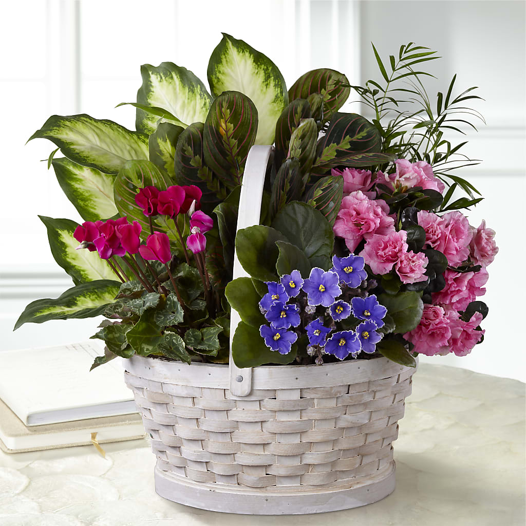 Peaceful Garden Planter – Flowersdirect.net, Tontitown AR