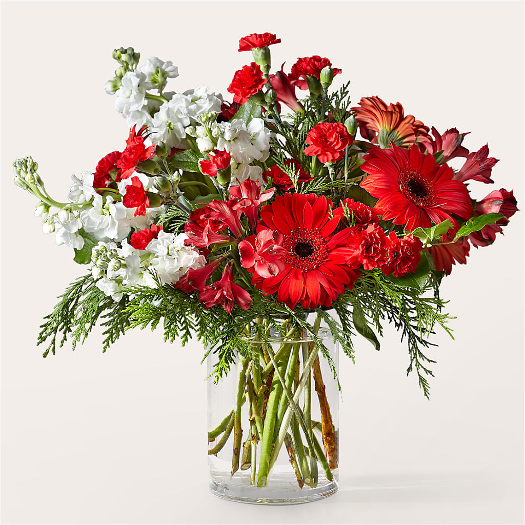 Holidaisy Bouquet – Flowersdirect.net, Tontitown AR