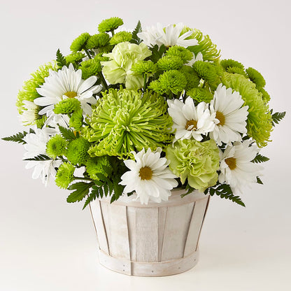 Lucky Charm Basket (Standard) –  Flowersdirect.net, Tontitown AR