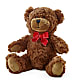 Adorable Plush Bear –  Flowersdirect.net, Tontitown AR