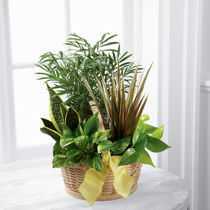 French Garden –  Flowersdirect.net, Tontitown AR