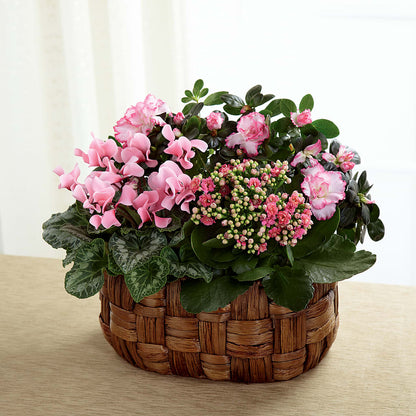 Pink Assortment –  Flowersdirect.net, Tontitown AR