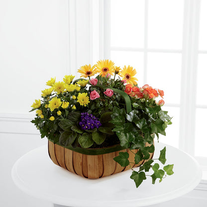 Gentle Blossoms Basket –  Flowersdirect.net, Tontitown AR