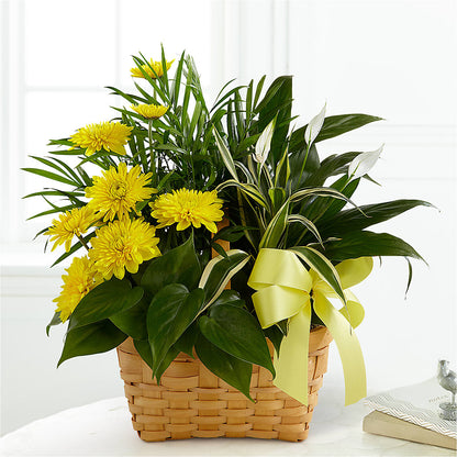 Loving Light Dishgarden –  Flowersdirect.net, Tontitown AR