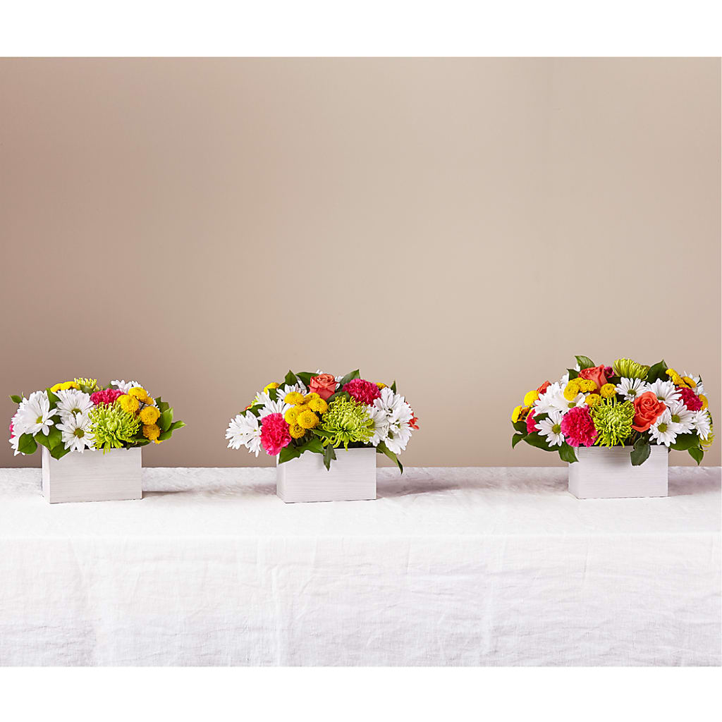 Sorbet Bouquet –  Flowersdirect.net, Tontitown AR