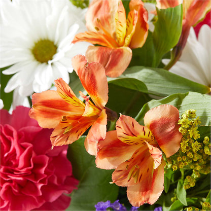 Oopsie Daisy Box Bouquet –  Flowersdirect.net, Tontitown AR