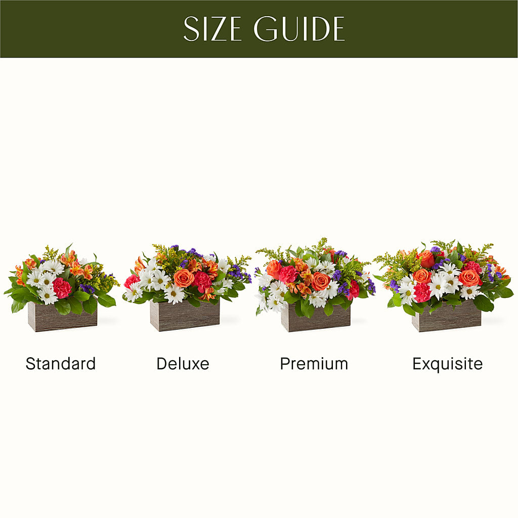Oopsie Daisy Box Bouquet –  Flowersdirect.net, Tontitown AR