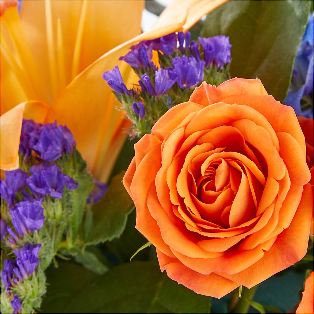 Radiant Citrus Box Bouquet –  Flowersdirect.net, Tontitown AR