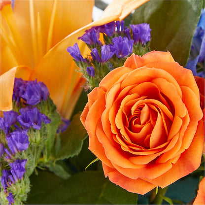 Radiant Citrus Box Bouquet –  Flowersdirect.net, Tontitown AR