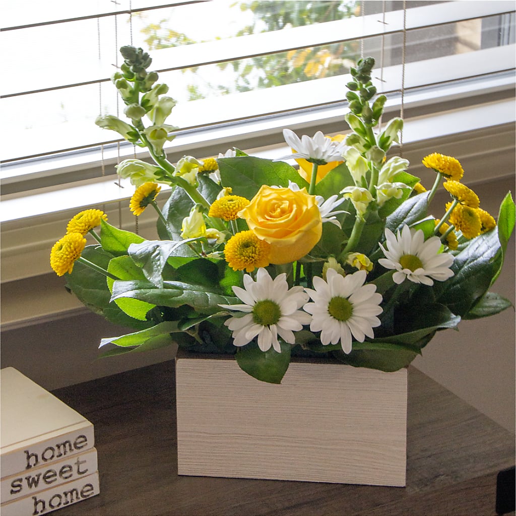Sun Salutation Box Bouquet –  Flowersdirect.net, Tontitown AR