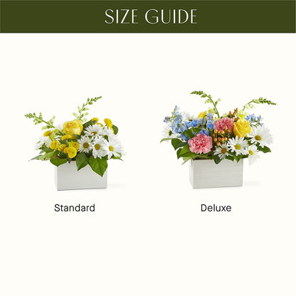 Sun Salutation Box Bouquet –  Flowersdirect.net, Tontitown AR