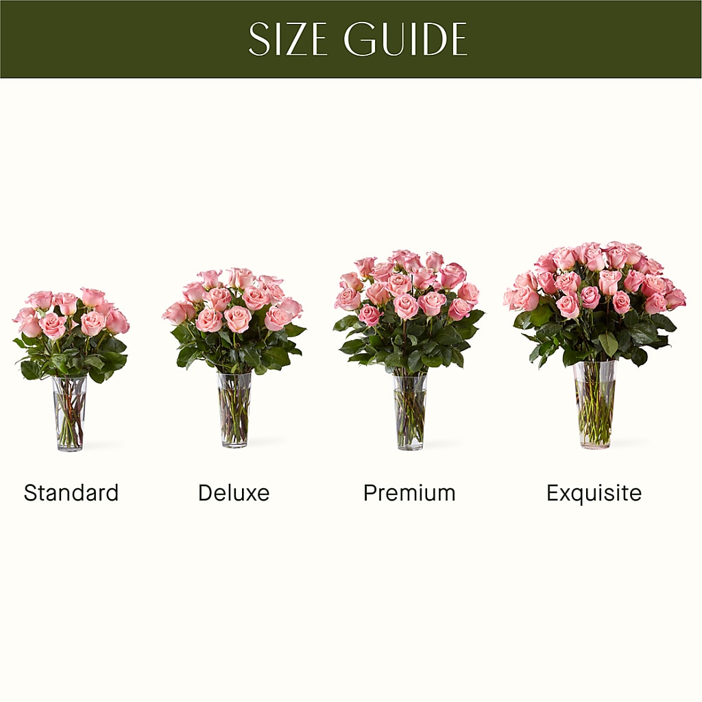Long Stem Pink Rose Bouquet –  Flowersdirect.net, Tontitown AR