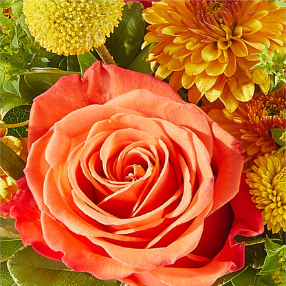Gourdgeous Pumpkin –  Flowersdirect.net, Tontitown AR