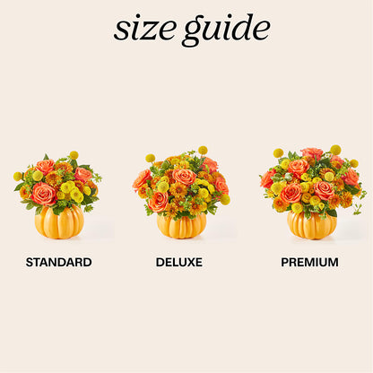 Gourdgeous Pumpkin –  Flowersdirect.net, Tontitown AR