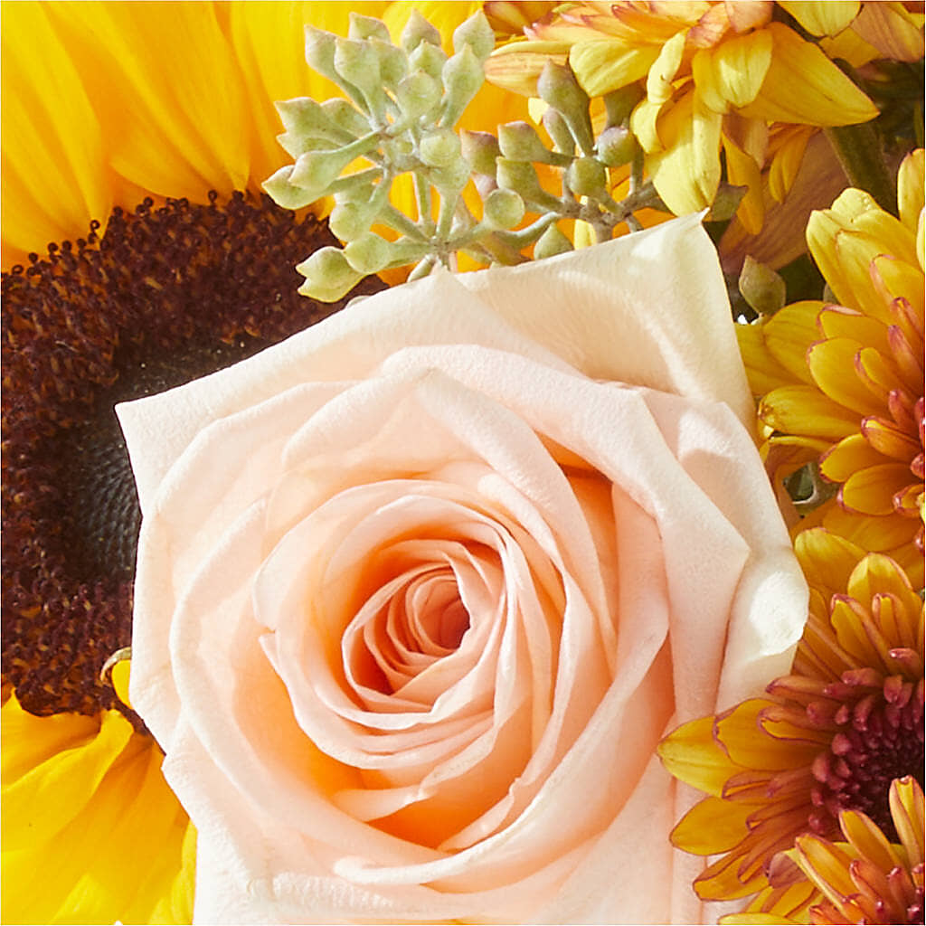 Pumpkin to Talk About Bouquet –  Flowersdirect.net, Tontitown AR