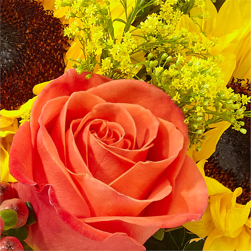 Pick of the Patch Pumpkin Bouquet –  Flowersdirect.net, Tontitown AR