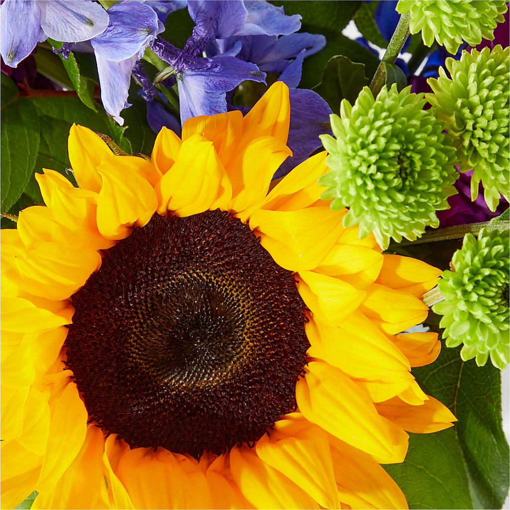 Catching Rays Bouquet –  Flowersdirect.net, Tontitown AR