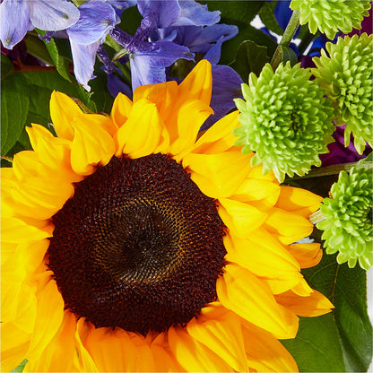 Catching Rays Bouquet –  Flowersdirect.net, Tontitown AR