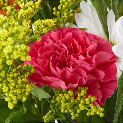 Oopsie Daisy Bouquet –  Flowersdirect.net, Tontitown AR