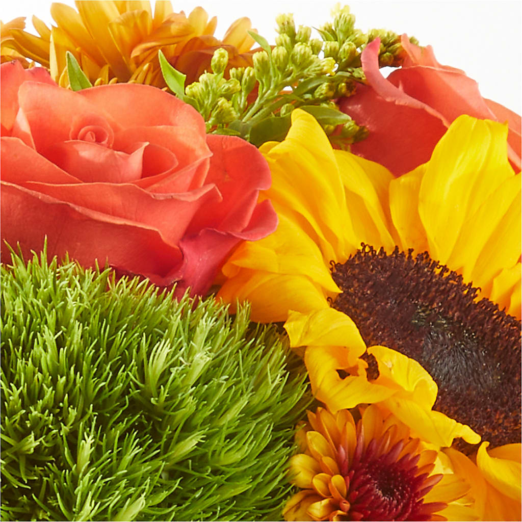 Farmer’s Market Stroll Bouquet –  Flowersdirect.net, Tontitown AR