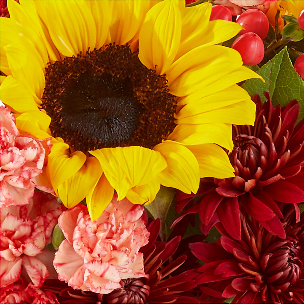 Fresh Cider Bouquet –  Flowersdirect.net, Tontitown AR