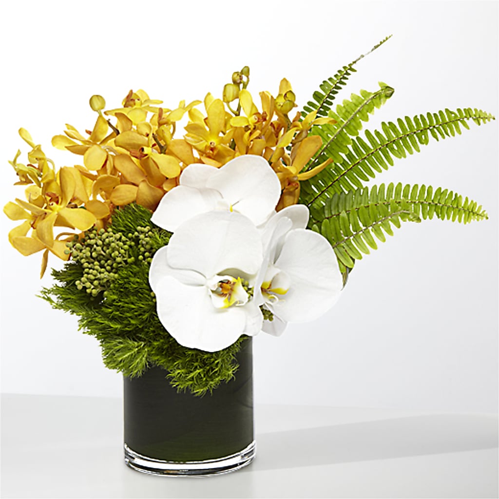 The Tropics –  Flowersdirect.net, Tontitown AR