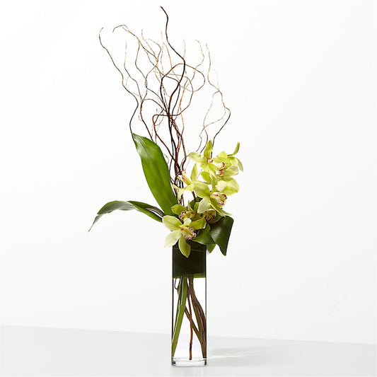 The Statement –  Flowersdirect.net, Tontitown AR