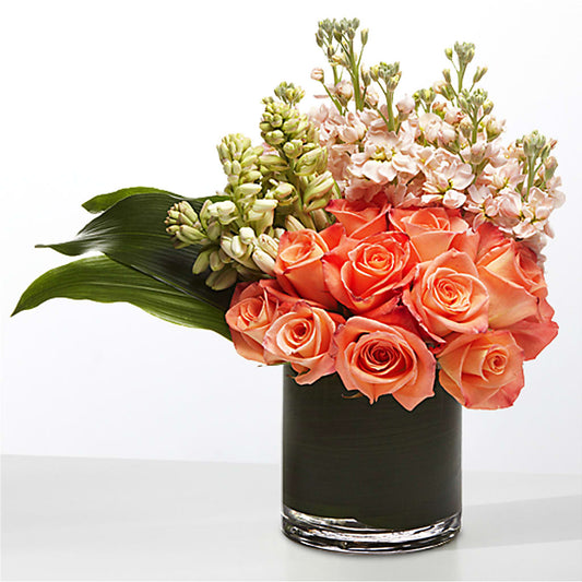 The Moment –  Flowersdirect.net, Tontitown AR