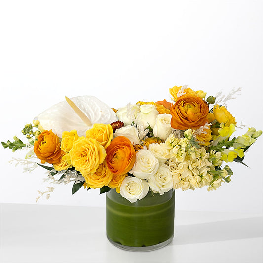 The Optimist –  Flowersdirect.net, Tontitown AR
