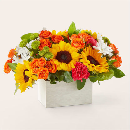Sun-drenched Blooms Box Bouquet –  Flowersdirect.net, Tontitown AR