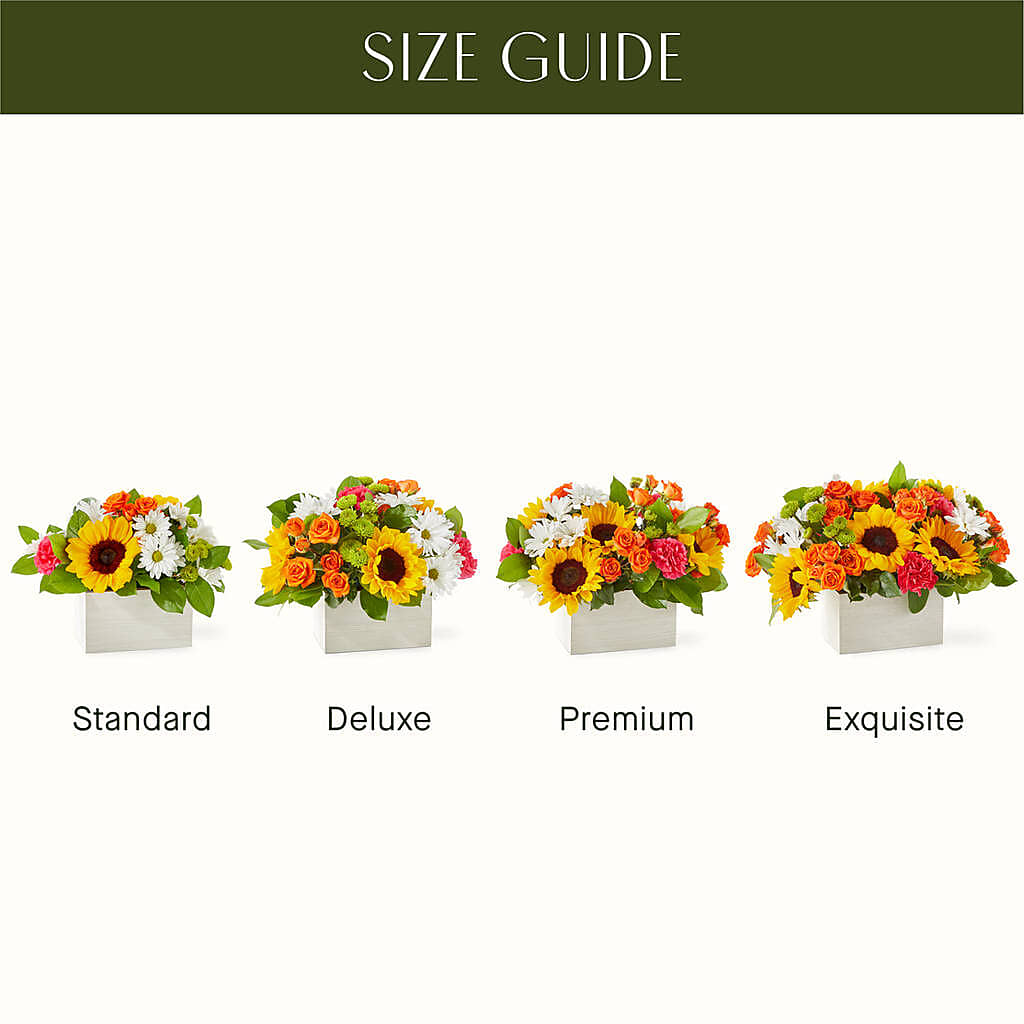 Sun-drenched Blooms Box Bouquet –  Flowersdirect.net, Tontitown AR