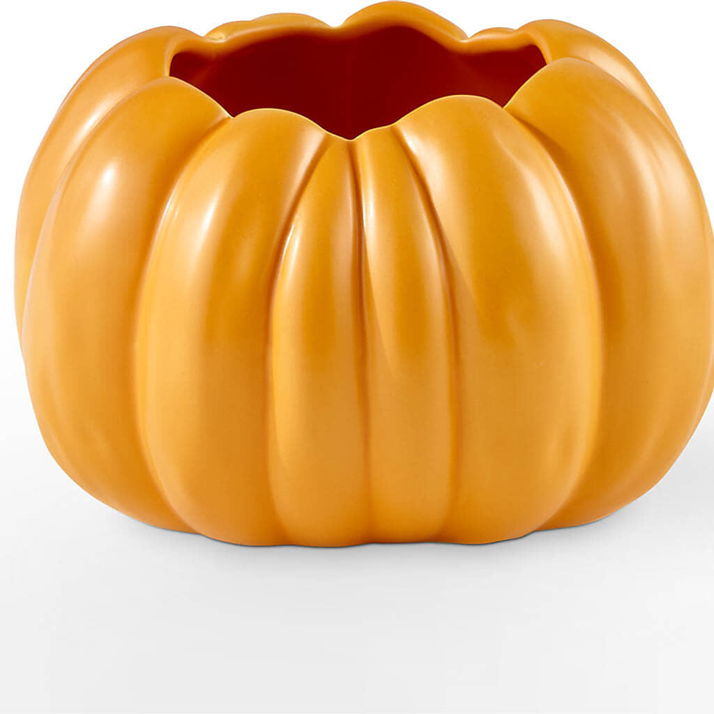 Golden Gourd Pumpkin Bouquet –  Flowersdirect.net, Tontitown AR