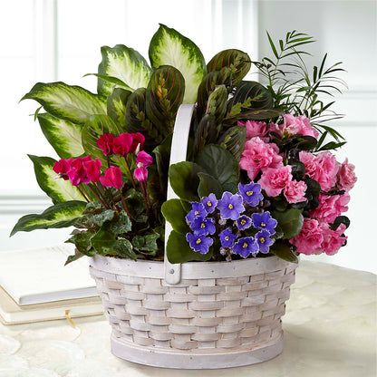 Peaceful Garden Planter –  Flowersdirect.net, Tontitown AR