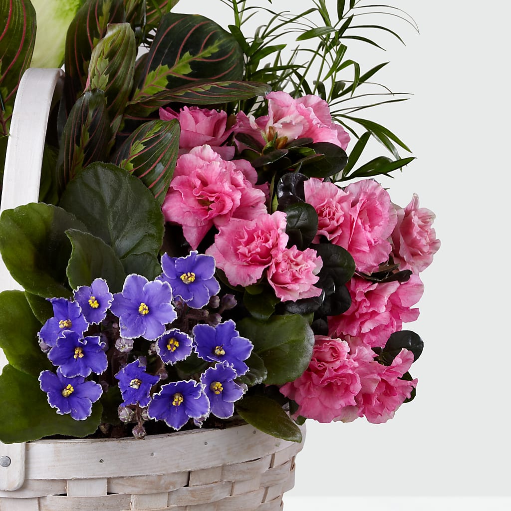 Peaceful Garden Planter –  Flowersdirect.net, Tontitown AR