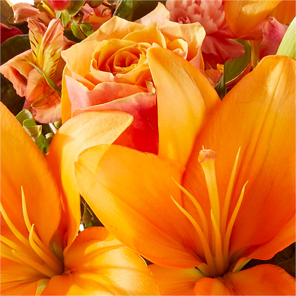 Afternoon Light Bouquet –  Flowersdirect.net, Tontitown AR