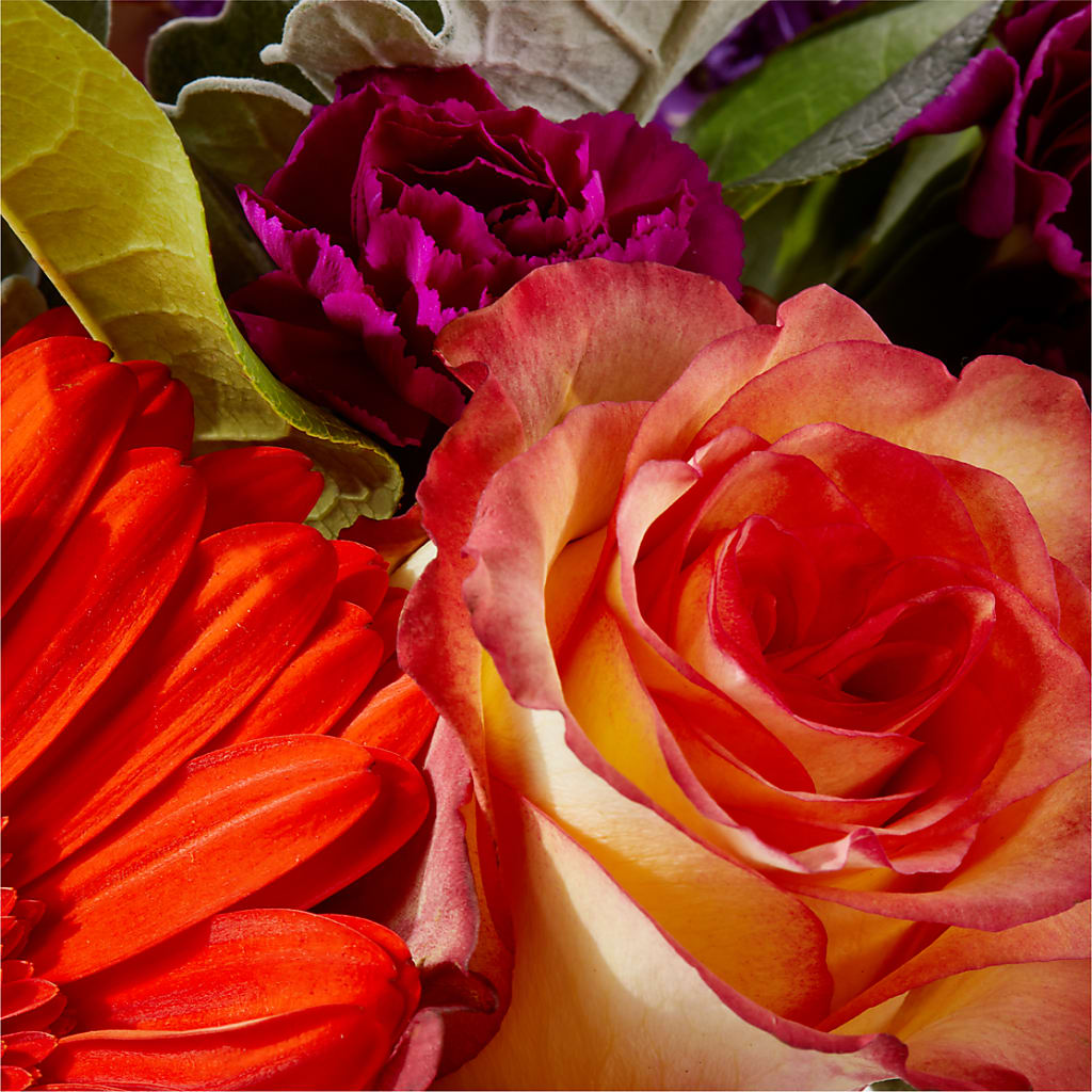Sangria Bouquet –  Flowersdirect.net, Tontitown AR