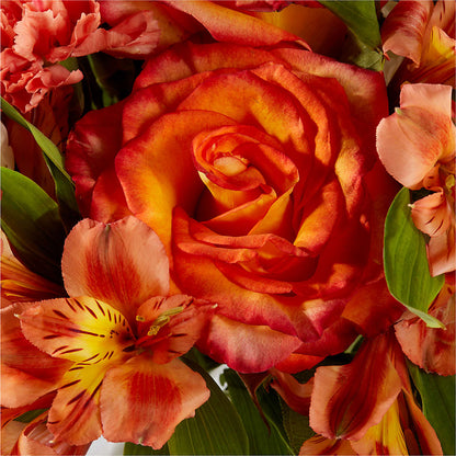 Apricot Glow Bouquet –  Flowersdirect.net, Tontitown AR
