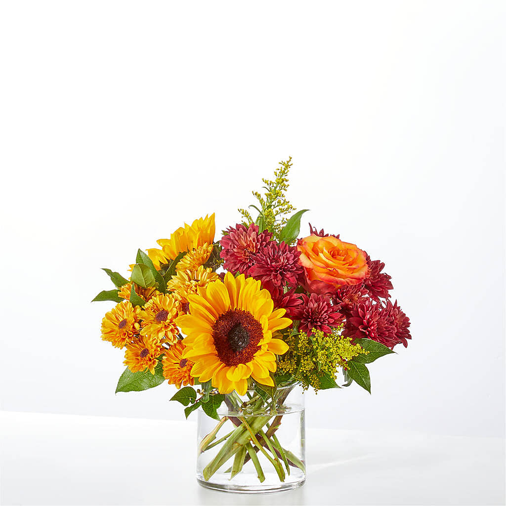 Flannel Scarf Bouquet –  Flowersdirect.net, Tontitown AR