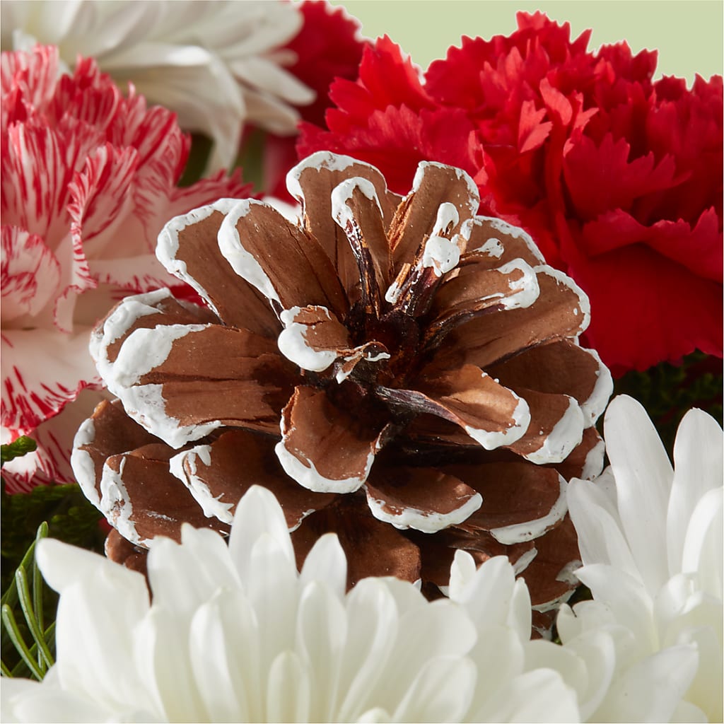 Candy Cane Lane Bouquet –  Flowersdirect.net, Tontitown AR
