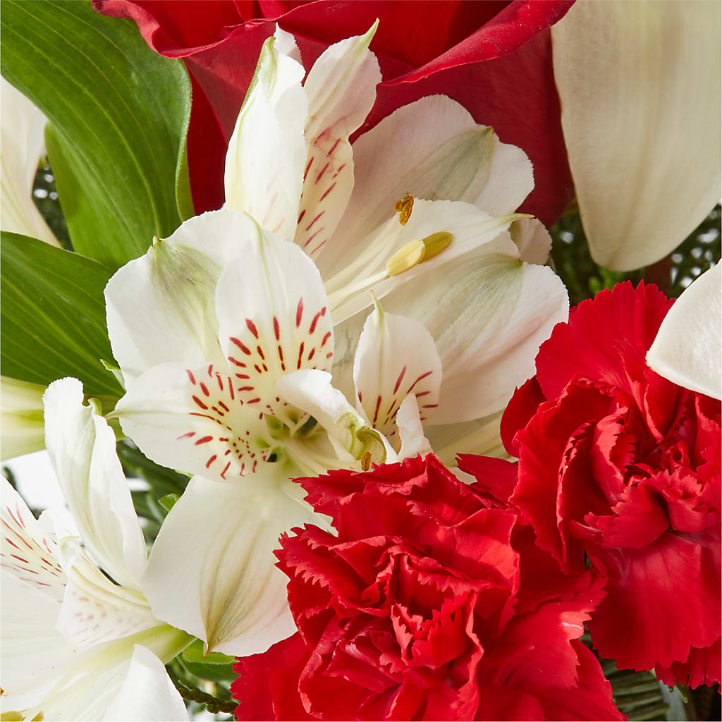 Holiday Season Bouquet –  Flowersdirect.net, Tontitown AR